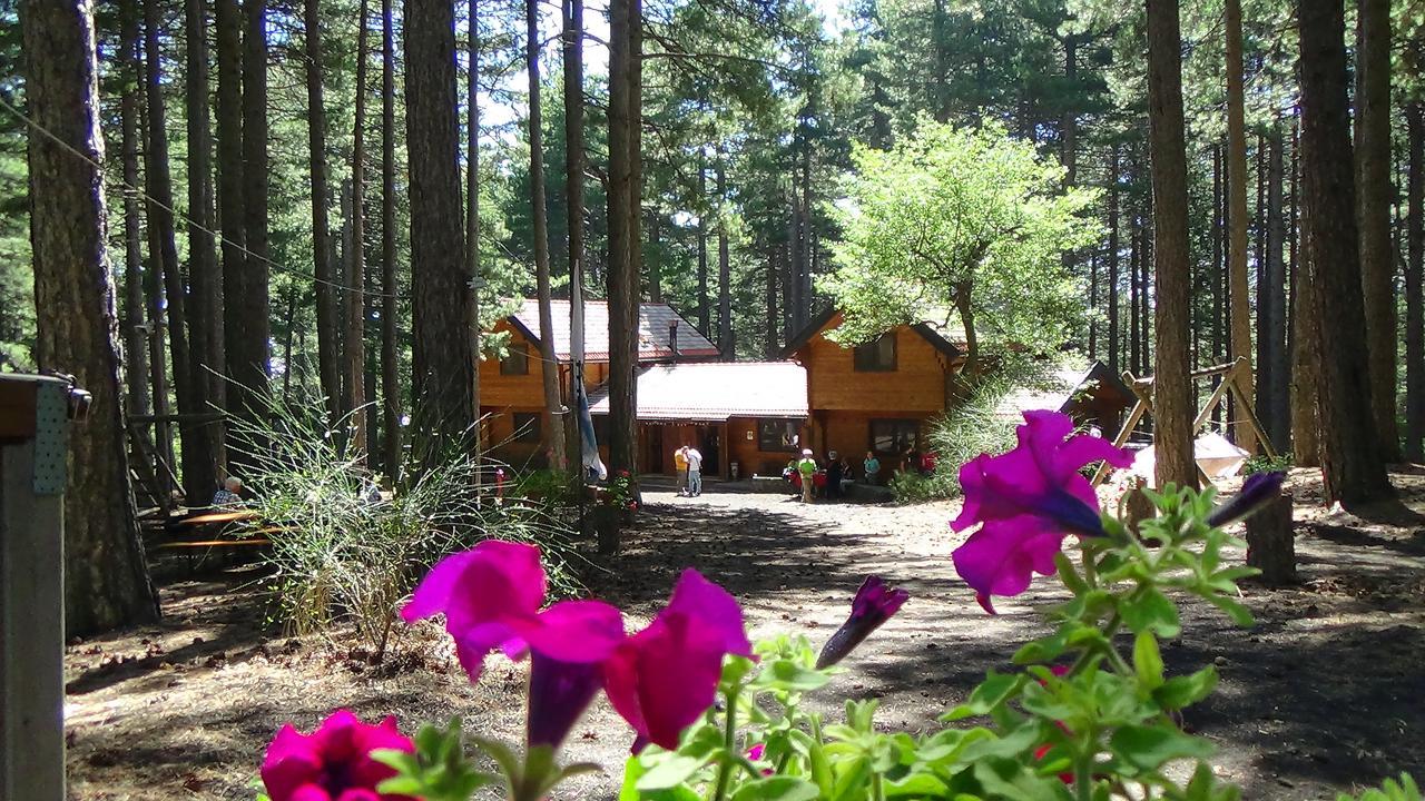 Chalet Clan Dei Ragazzi Hotel Linguaglossa Buitenkant foto